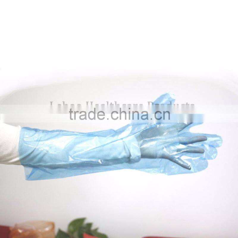 Free sample transparent disposable PE plastic glove