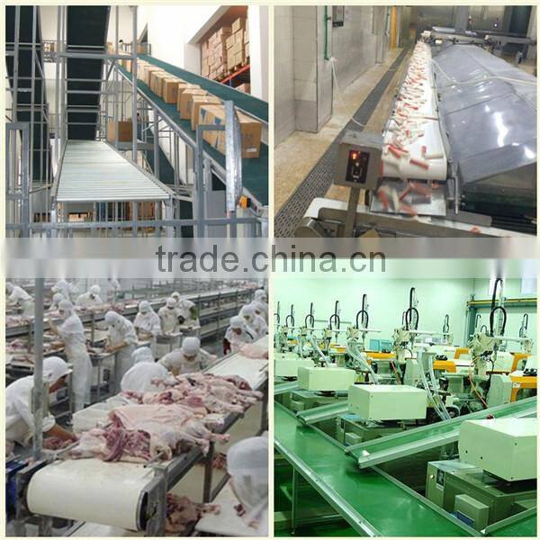high quality professional pvc food conveyor belt
