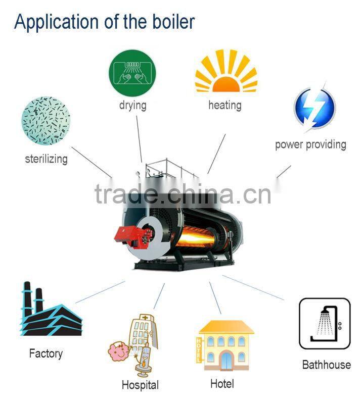 Bidragon low price gas fired steam boiler