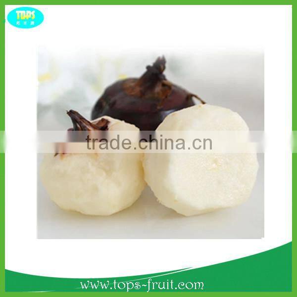 Supply organic water chestnut in Bulk