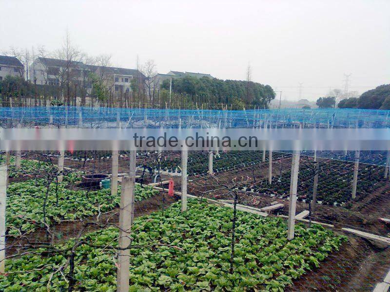plastic diamond Vacuum Infusion net/vacuum infusion mesh