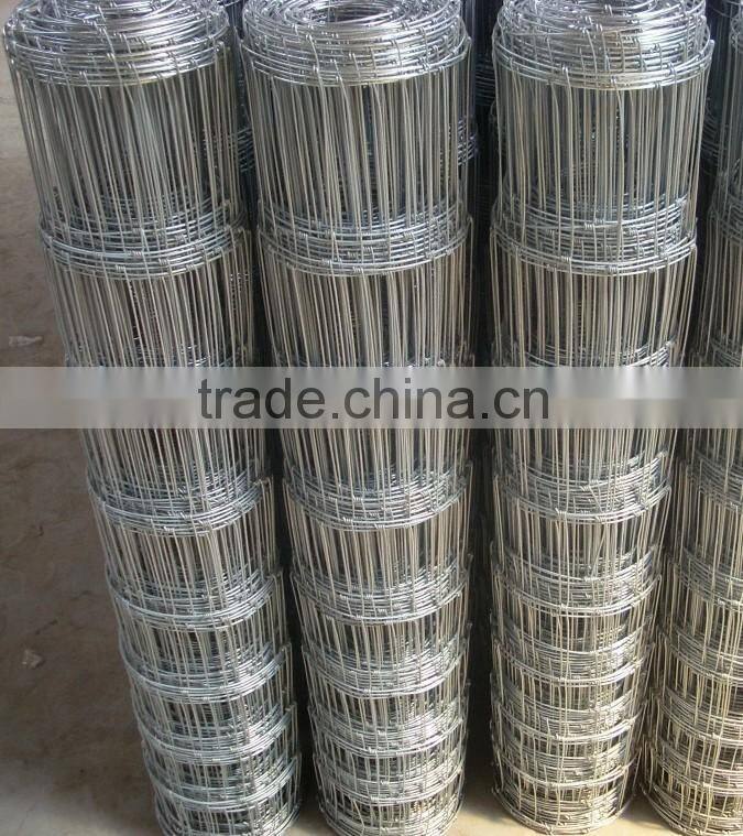 Galvanized welded wire mesh Factory Low Price