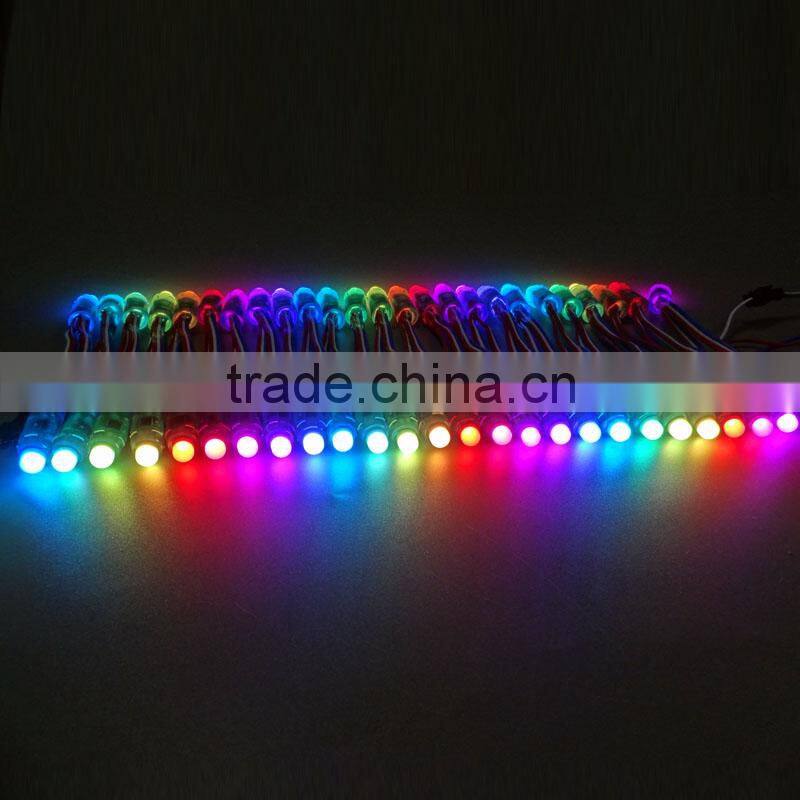 High bright IP68 12mm DC5V led pixel light string ws2801 50 node a string
