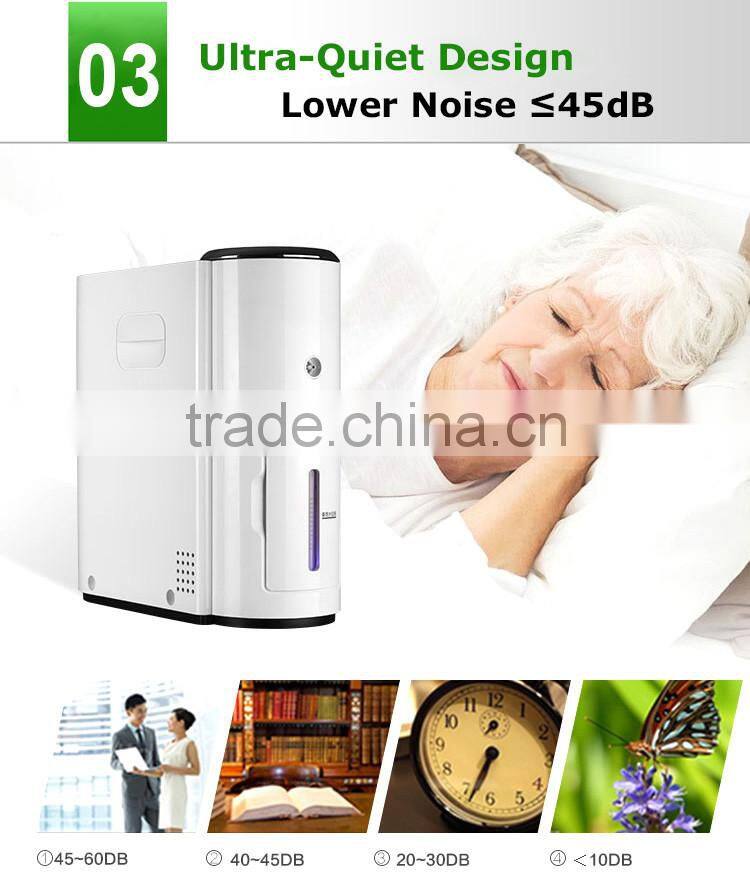 2L 3L 4L 6L 9L/Min 30%-95% Concentration Electric Portable Continuous Flow Oxygen Generator For Sale Direct Factory