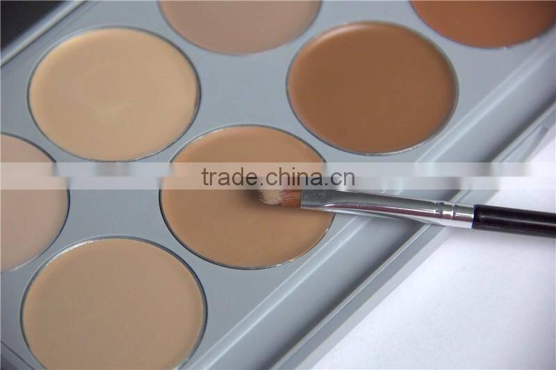 Trade Assurance Wholesale10 Color Face Cosmetic Concealer Palette Make Up Camouflage Contour Palette