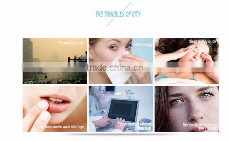 50ml DC5V mini portable lotus shape air humidifier /mini air purifier