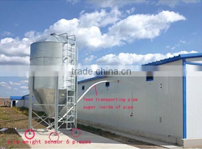 poultry farm ground raising chicken broiler equipment