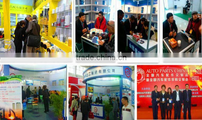 FS1003,P551003 filter fuel for truck