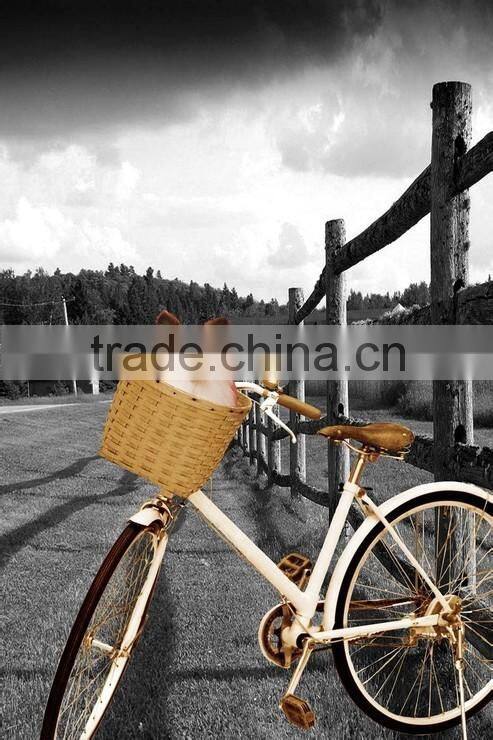 abstrat deer canvas printing painting for decoration