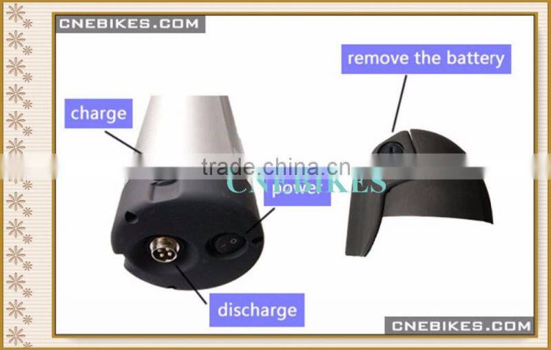 brushless gear hub motor 36V 250W electric bicycle conversion kit with battery