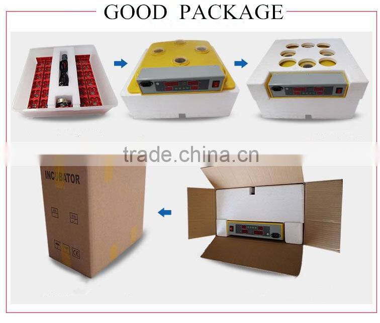 48 Egg Capacity Small Incubator for Hatching Eggs