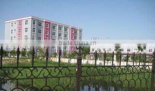 Sales Promotion Plush toys minion stuffed Pillow