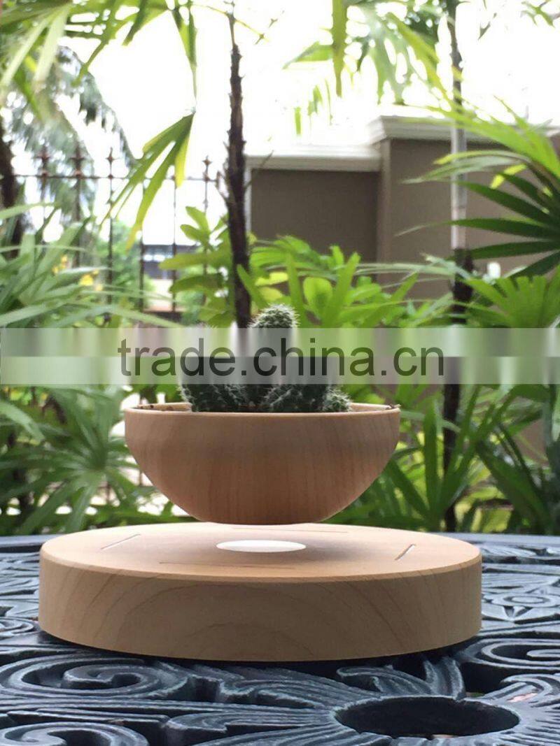 magnetic plant tree pots