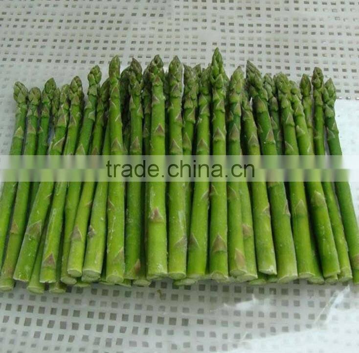 Hot sale IQF green asparagus for export