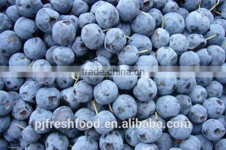 2015 IQF Frozen Blueberry Frozen Fruit Supplier
