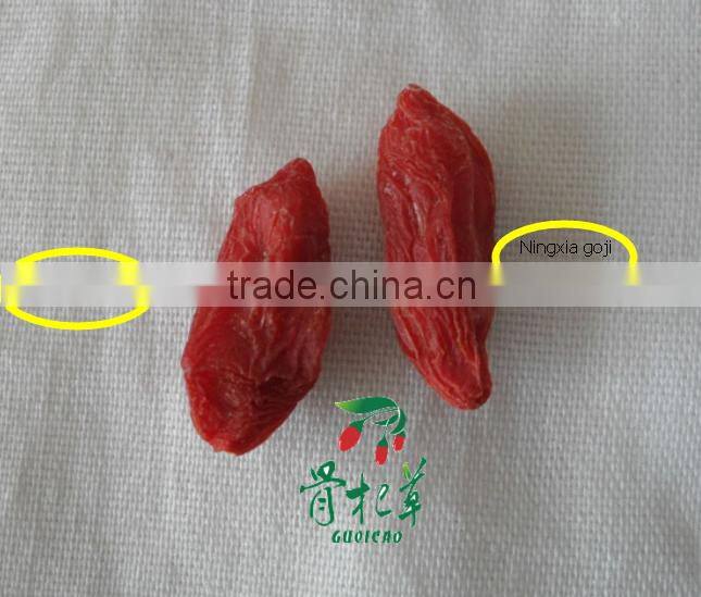 frozen red fresh medlar,goji fruit wolfberry,dried goji berry