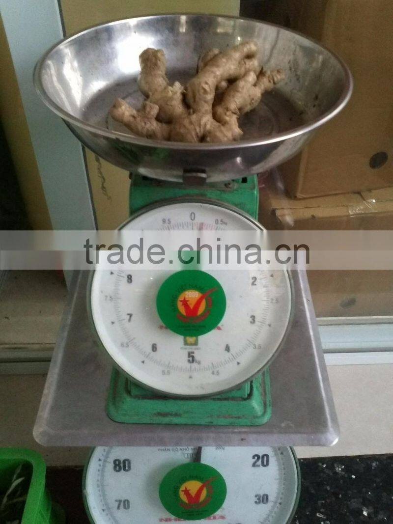 VIETNAM DRIED SLICE GINGER, BEST PRICE, HIGH QUALITY (+841657106604 - WHATSAPP)