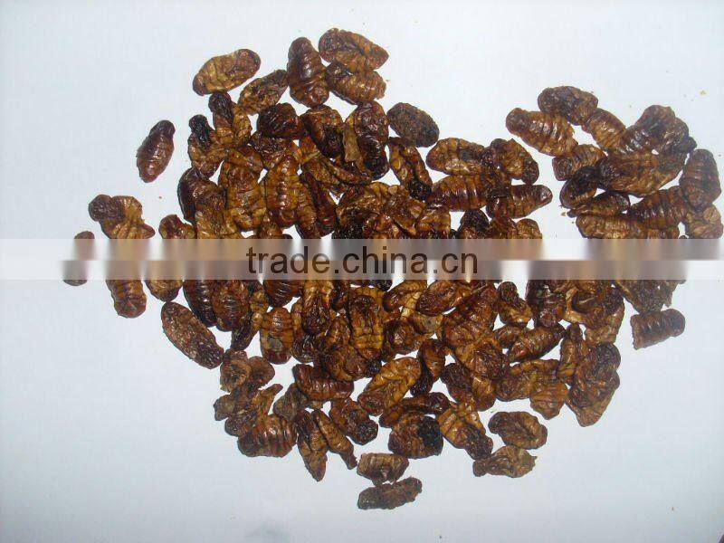 dried silkworm pupa pet/fish/bird food
