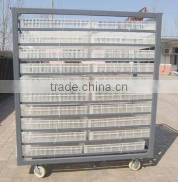 XSB-10 19800pcs quail egg incubator poultry hatching machine for sale