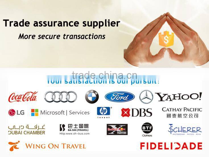 custom luggage straps,luggage belt