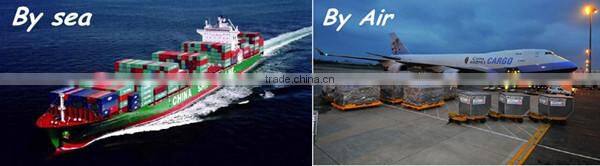 China High Professional Plastic Molding Companies