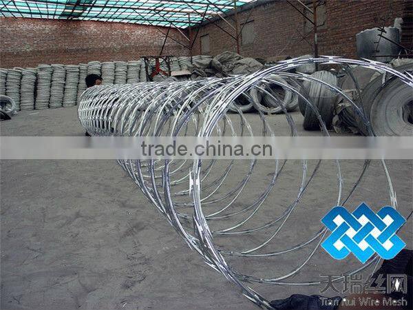 Razor barbed wire / Hot dip Galvanized razor barbed wire