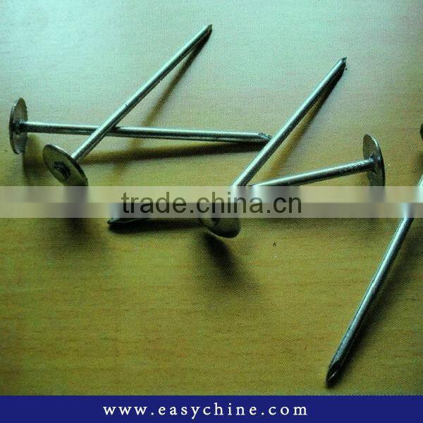 Wire Nail Plated SS