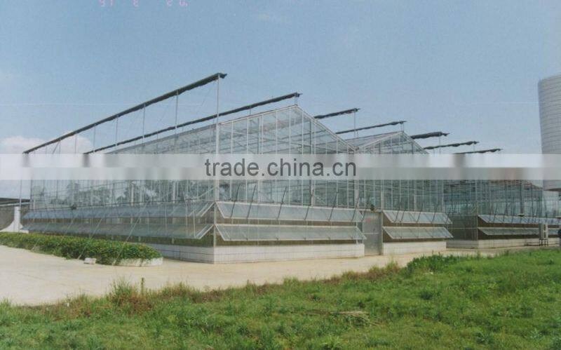 Sunshine glass greenhouse ecological agriculture
