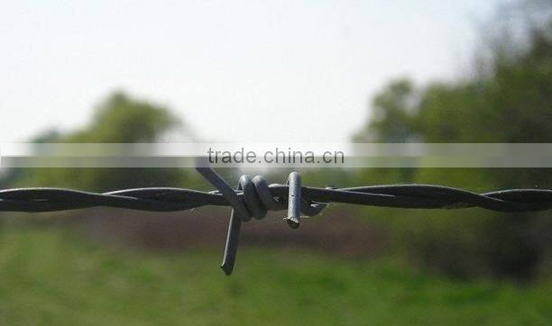 Double Twisted Barbed Wire (factory)