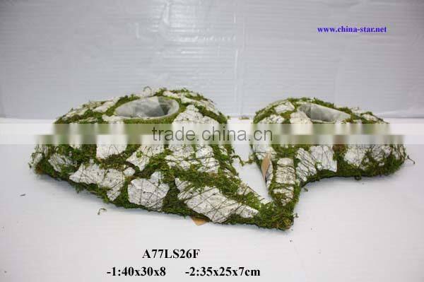 moss cushion with flower pot