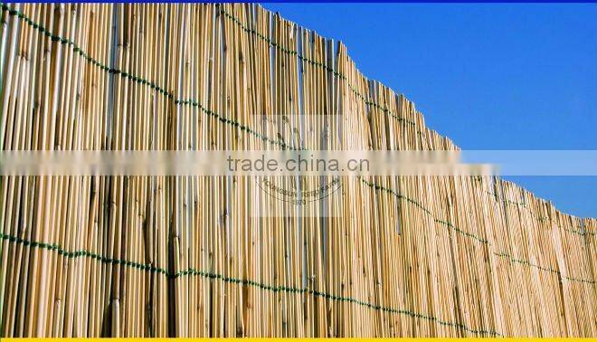 reed fence