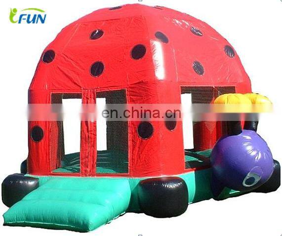 Frozen Themed Inflatable Bounce House for Kids / Inflatable Bouncer For Sale/Jumping Castle Inflatable