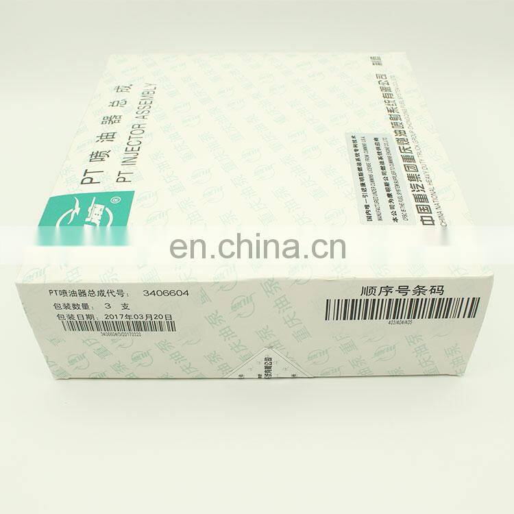 Packaging & Shipping diesel pt fuel injector 3406604