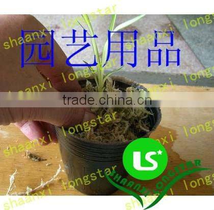 Plastic nursery pots and planters