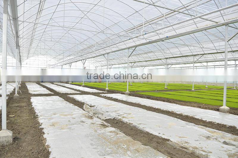 Hot Dipped Galvanized Frame Double Layers Inflatable Greenhouse