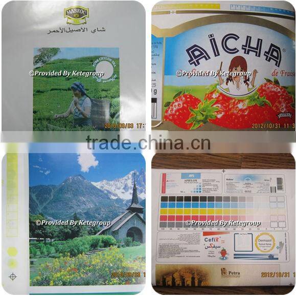 New Technology Designed Two Colour Flexographic Printing Machine