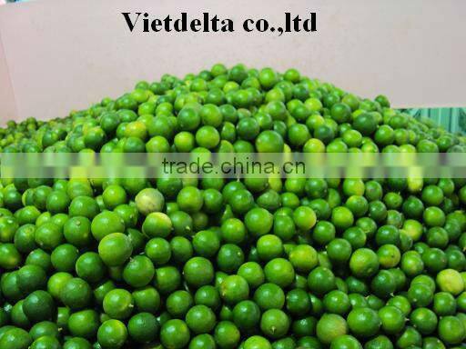 Fresh Lemon & Lime New Crop