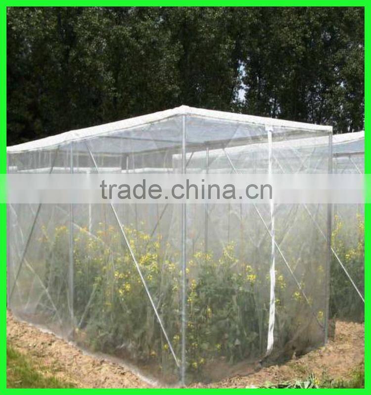 supply 100% UV resistance new PE anti insect protection net with best price