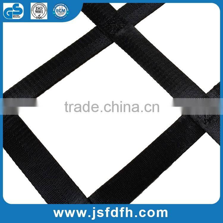 The Best Quality Polyester Blue Cargo lifting Net Cargo Netting With Competitive Price