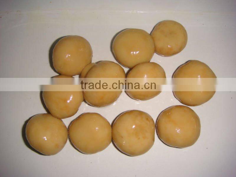 Canned Whole Mushroom Min.