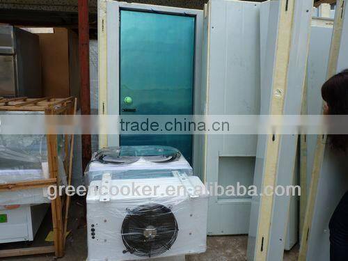 frozen cold room for meat and fish New