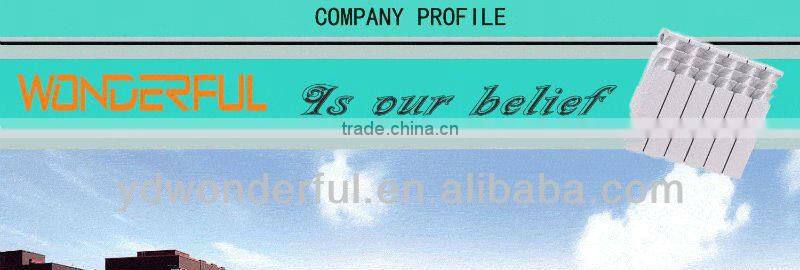 Die-cast aluminum radiator