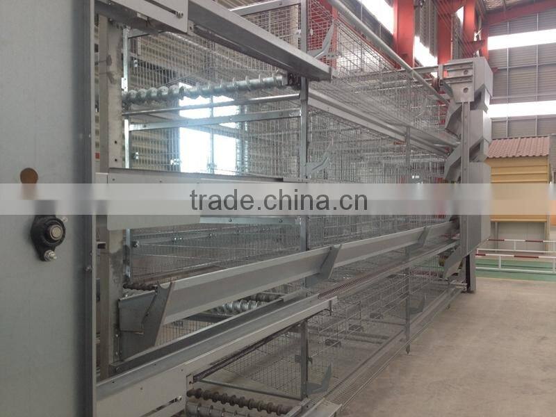 Hot-sale chicken cage equipments for egg chicken