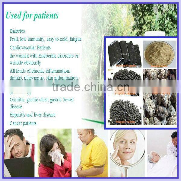 wholesale beekeeping supplies