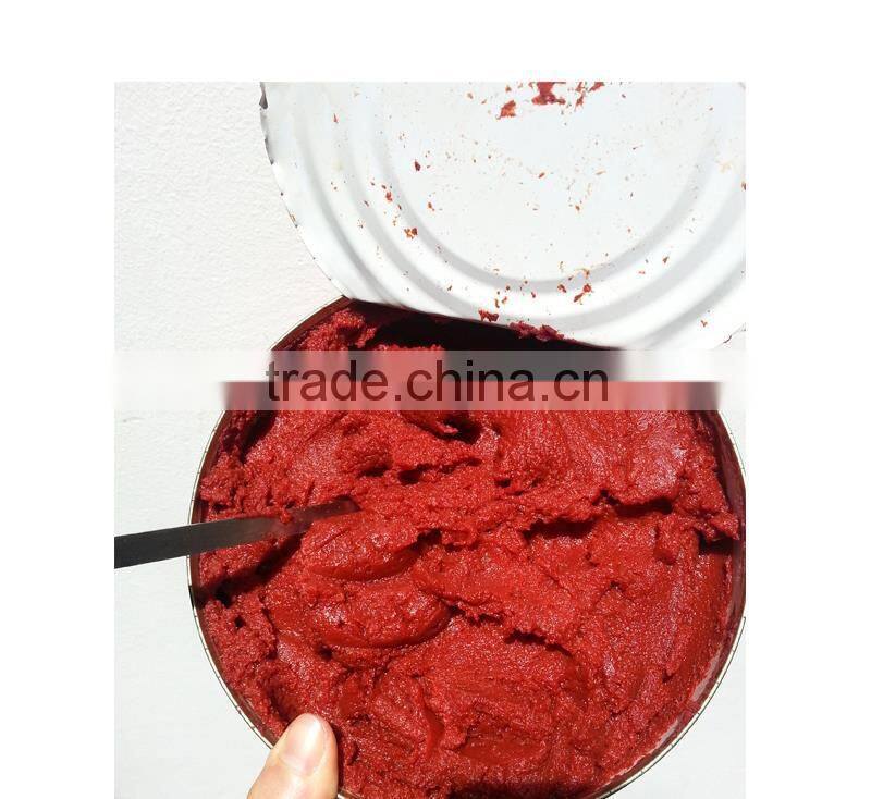 Tomato paste machine for good quality paste 2200gX6tins