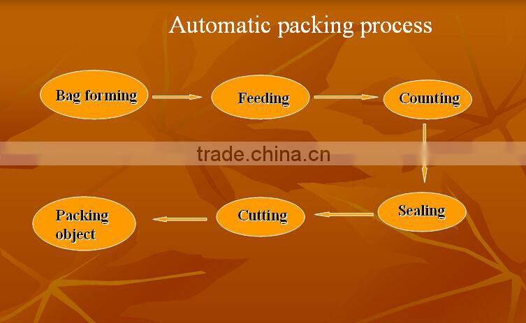 water purifier powder automatic packing machine