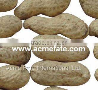 Chinese peanut kernels(virgina type)