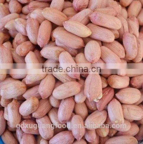 chinese good taste blanched peanuts kernel
