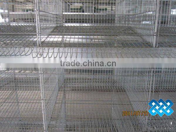 hot sales A type chicken cage for chicken farm