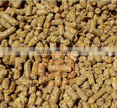 Best flat die poultry feed machine price